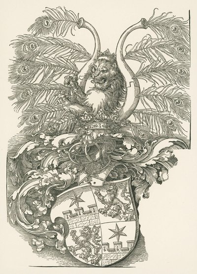 Erb města Roggendorf od Albrecht Dürer or Duerer