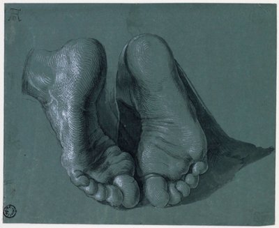 Etude de pieds - Studie dvou nohou - Kresba Albrechta Durera (1471-1528), Akvarel, bílá barva, černá křída na papíře, c1508 (17,6x21,6cm) - Museum Boijmans Van Beuningen, Rotterdam od Albrecht Dürer