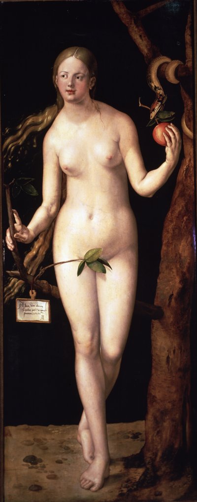  od Albrecht Dürer or Duerer