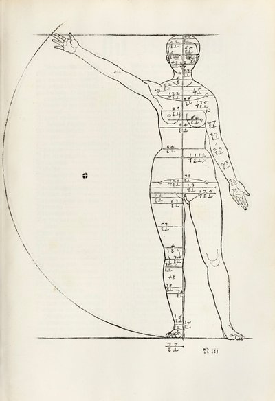 Ženský anatomický dřevoryt z „Tady jsou pochopeny čtyři knihy lidských proporcí“ od Albrecht Dürer