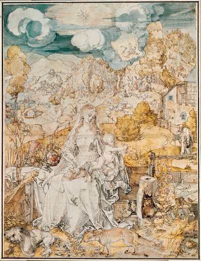 Madona s množstvím zvířat (akvarel, pero a štětec na papíře) od Albrecht Dürer or Duerer