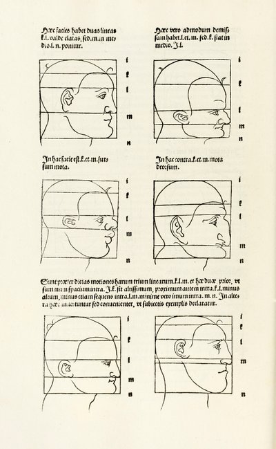Proporce lidské hlavy z „Zde jsou chápány čtyři knihy lidských proporcí“ od Albrecht Dürer