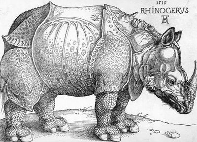 Nosorožec od Albrecht Dürer