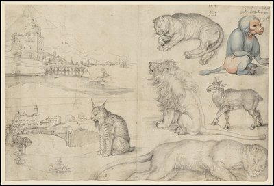 Náčrtky zvířat a krajiny, 1521 od Albrecht Dürer