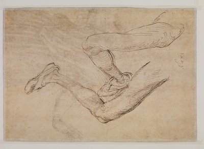 Studie levé nohy ze dvou pohledů od Albrecht Dürer