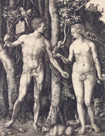 Pád člověka, Albrecht Durer od Albrecht Dürer