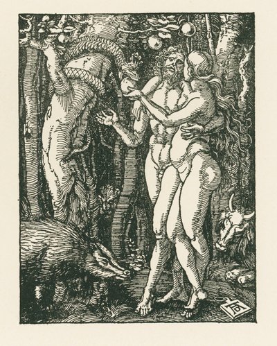 Pád člověka, asi 1510 (dřevoryt) od Albrecht Dürer or Duerer