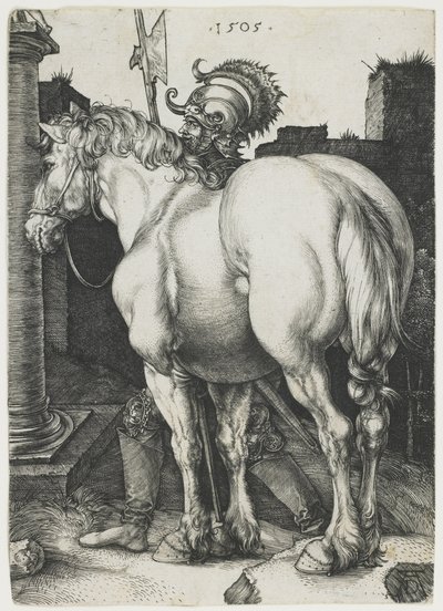 Velký kůň od Albrecht Dürer