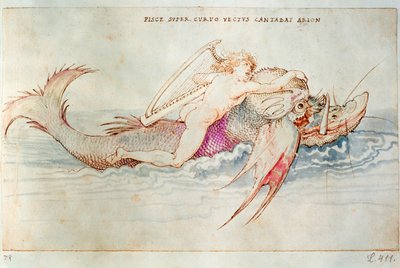 Řecký básník Arión na delfínovi, asi 1515 (akvarel na papíře) od Albrecht Dürer or Duerer