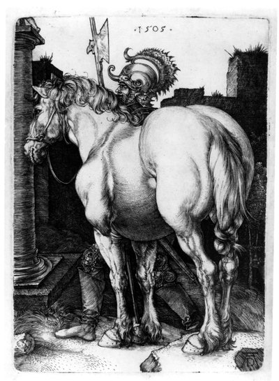 Velký kůň, 1509 od Albrecht Dürer