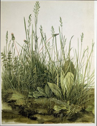 Velký kus trávníku od Albrecht Dürer or Duerer