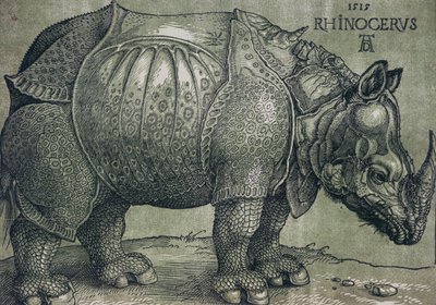 Nosorožec, 1515 od Albrecht Dürer