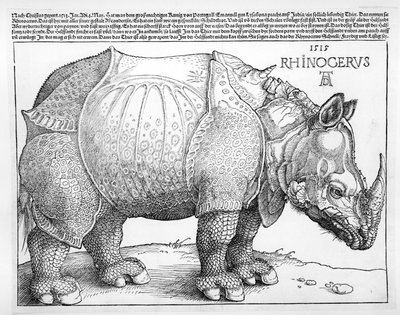 Nosorožec, 1515 od Albrecht Dürer