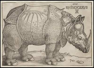 Nosorožec, 1515 od Albrecht Dürer