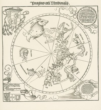 Jižní polokoule Zeměkoule Celestralu od Albrecht Dürer or Duerer