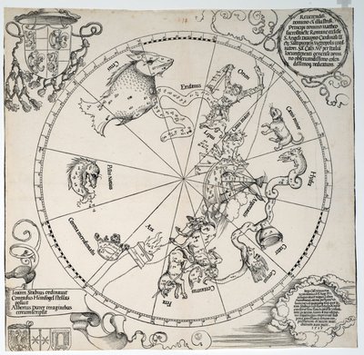 Neznámý obrázek od Albrecht Dürer