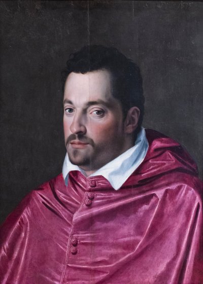 Kardinaali Ferdinando Medicin muotokuva od Alessandro Allori