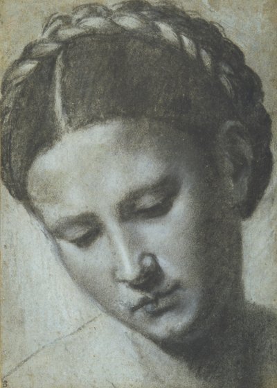 Ženská hlava se spletenými vlasy (uhlí a bílá křída na carta azzura) od Alessandro Bonvicino Moretto