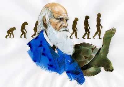 Portrét Charlese Darwina - Portrét anglického přírodovědce Charlese Darwina (1809-1882) Ilustrace od Alessandro Lonati