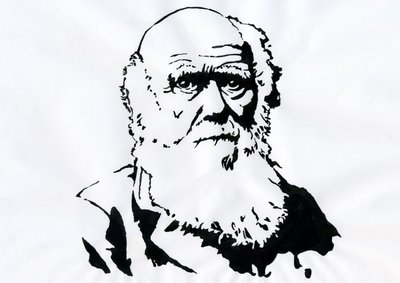 Portrét Charlese Darwina - Portrét anglického přírodovědce Charlese Darwina (1809-1882) Ilustrace od Alessandro Lonati