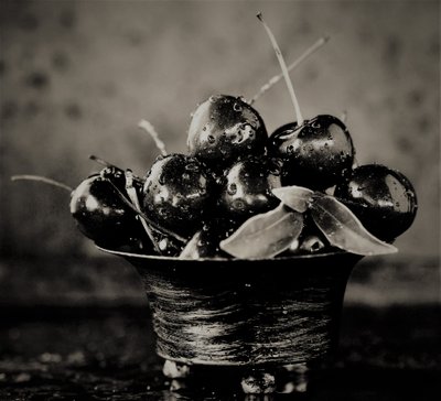 Třešně, 2019, (fotografie) od Alex Caminker