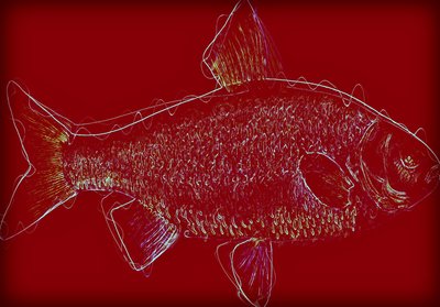 Fish V, 2020, (kombinovaná média) od Alex Caminker