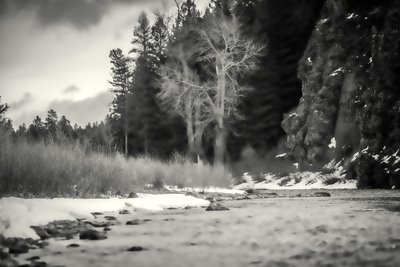 akcenty, 2019, (fotografie) od Alex Caminker