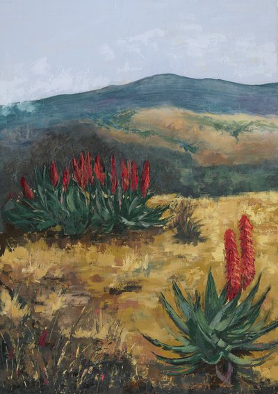 Red Aloes Desert Hills od Alex Cornell