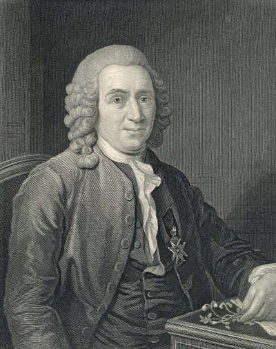 Portrét Carolus Linnaeus od Alexander (after) Roslin
