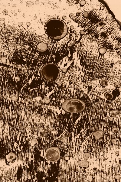 Kyslík od Alexander Adiels