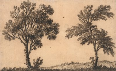 Studie o dvou vrbách od Alexander Cozens