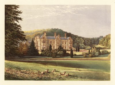 Mamhead, Devon, Anglie ,1880 (rytina) od Alexander Francis (after) Lydon