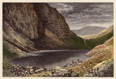 Skotské jezero Loch Scenery: Loch Dhu, Loch-na-gar (barevná litografie) od Alexander Francis (after) Lydon