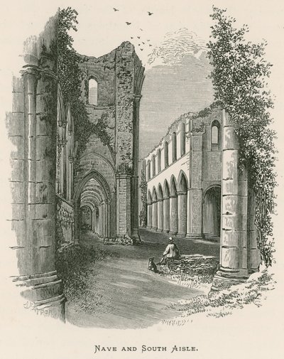 Fountains Abbey, Nave a South Aisle od Alexander Francis Lydon
