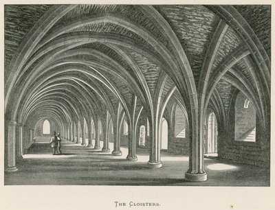 Fountains Abbey, The Cloisters od Alexander Francis Lydon