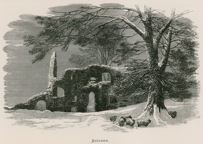 Kirkstall Abbey, Kitchen od Alexander Francis Lydon