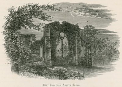 Netley Abbey, East End, z Abbot