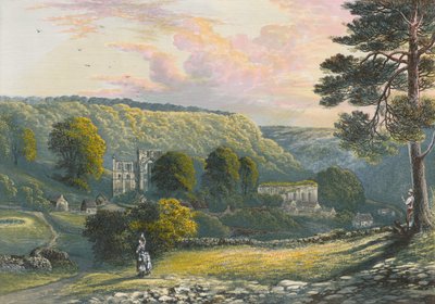 opatství Rievaulx od Alexander Francis Lydon