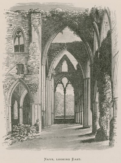 Tintern Abbey, Nave, při pohledu na východ od Alexander Francis Lydon