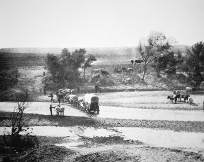 Krytý vůz překračující Tecolate Creek, Nové Mexiko od Alexander Gardner