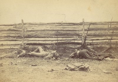 Pohled v poli, na západní straně Hagerstown Road, po bitvě u Antietamu, ..., 1862. od Alexander Gardner