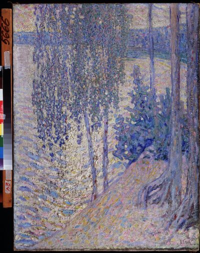 ""Břízy"" (Birches) Obraz Alexandra Fjodoroviče Gaushe (1873-1947) cca 1910 Státní muzeum umění Čuvašské republiky Cheboksary od Alexander Gaush