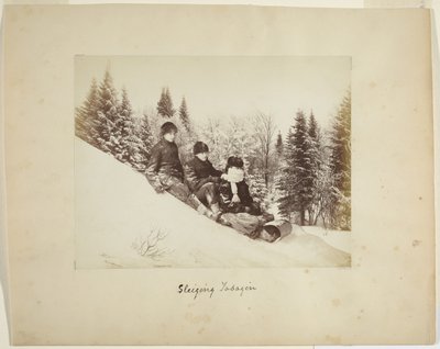 Toboganing, c.1873 (albumen print (kompozitní)) od Alexander Henderson