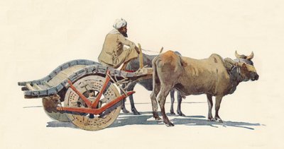 Bullock Cart, Jodhpur, c1880 1905. od Alexander Henry Hallam Murray