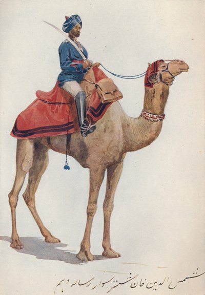 Velbloudí sowar z 10. Bengálských kopiníků, c1880 1905. od Alexander Henry Hallam Murray