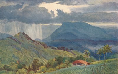 Tropická sprcha, c1880 1905. od Alexander Henry Hallam Murray
