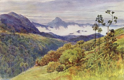 Ranní mlhy v údolí Mahaweli Ganga (barevné lito) od Alexander Henry Hallam Murray