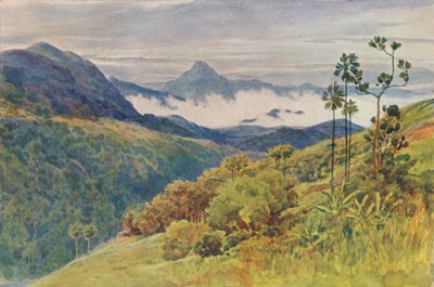 Ranní mlhy v údolí Mahaweli Ganga, c 1880 1905. od Alexander Henry Hallam Murray