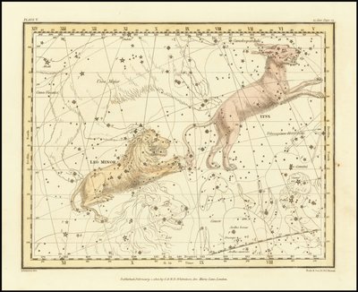 1822 - Alexander Jamieson - Lynx  Leo Minor od Alexander Jamieson