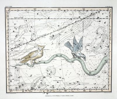Souhvězdí (Plate XXVII) Hydra Continua, Kráter, Covus, Centaurus a Lupus, z 